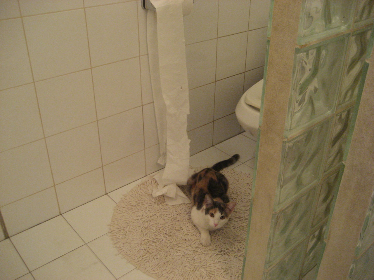 中国青少年篮球推广与校园篮球融合策略，青少年篮球特色学校