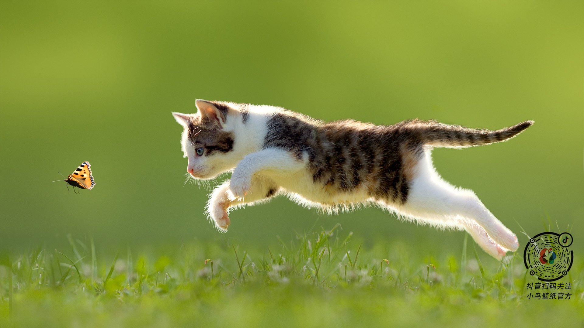 意甲教练对阵容深度调整的战术应用分析,意甲 教练