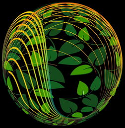 MILANSPORT下载-未来青训：生态系统构建助推足球强国梦，足球生态系统建设