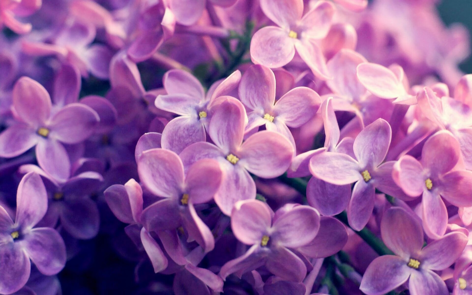 -女子篮球推动家校沟通机制构建成长支持网络，家校篮球赛方案