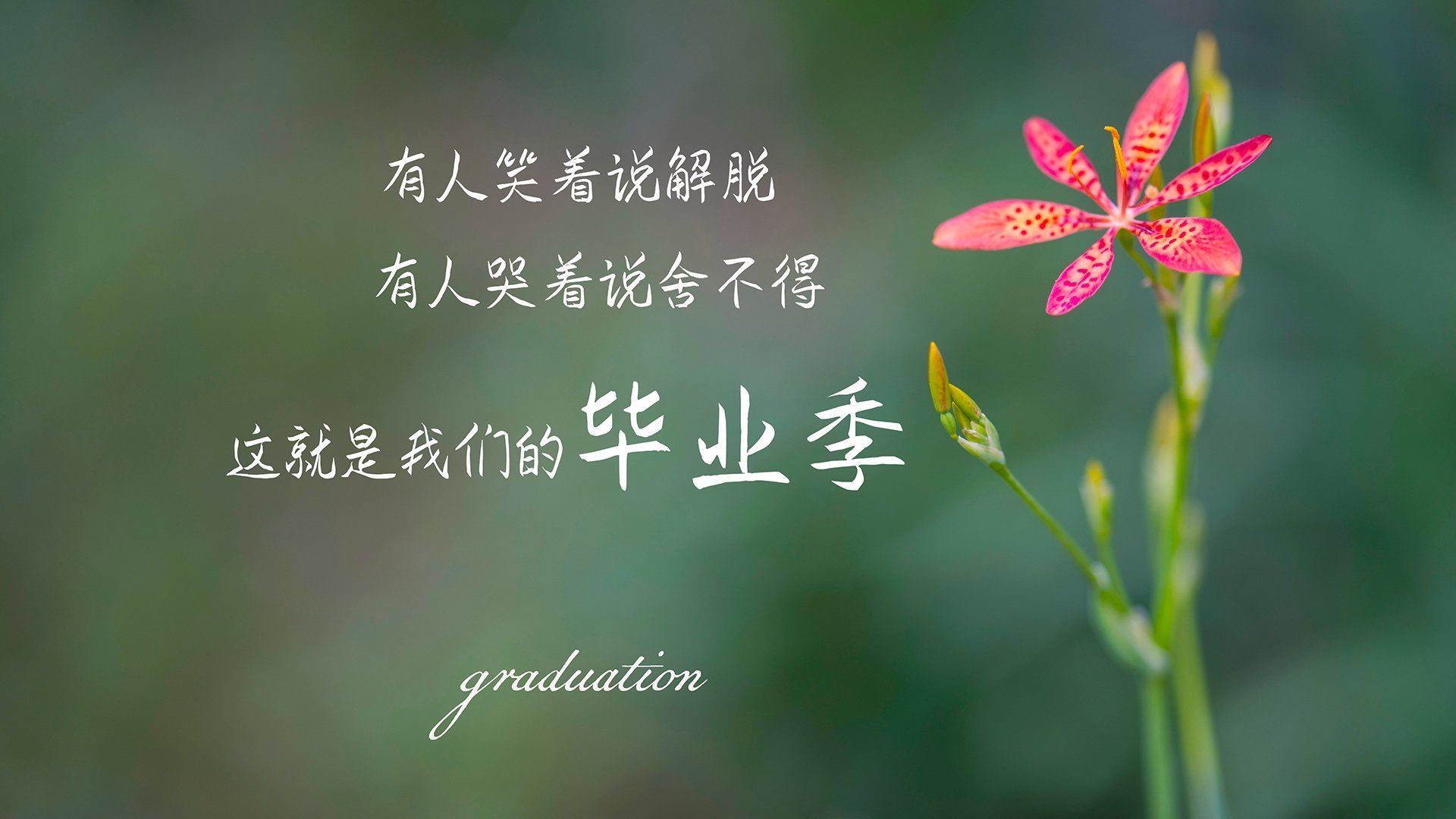 女篮国家队注重技术细节提升执行力，国家女子篮球队队长