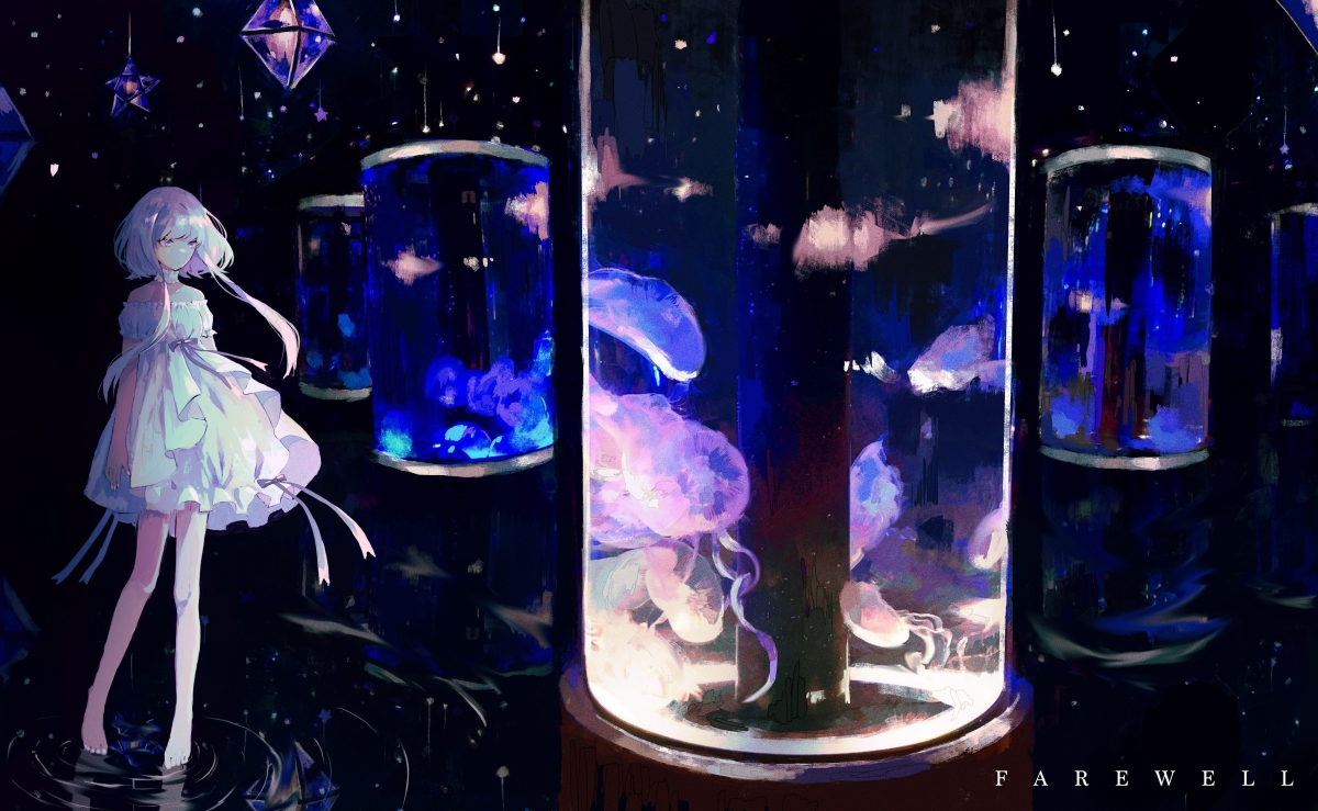 蛙泳比赛比利时表现稳定,蛙泳游泳比赛