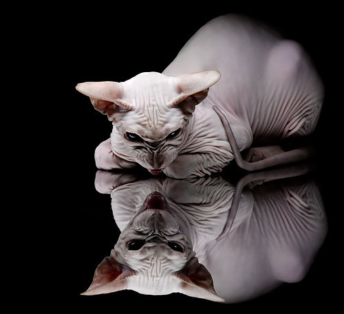 退役球员创业开设篮球俱乐部培养本地未来希望之星,篮球俱乐部创业项目