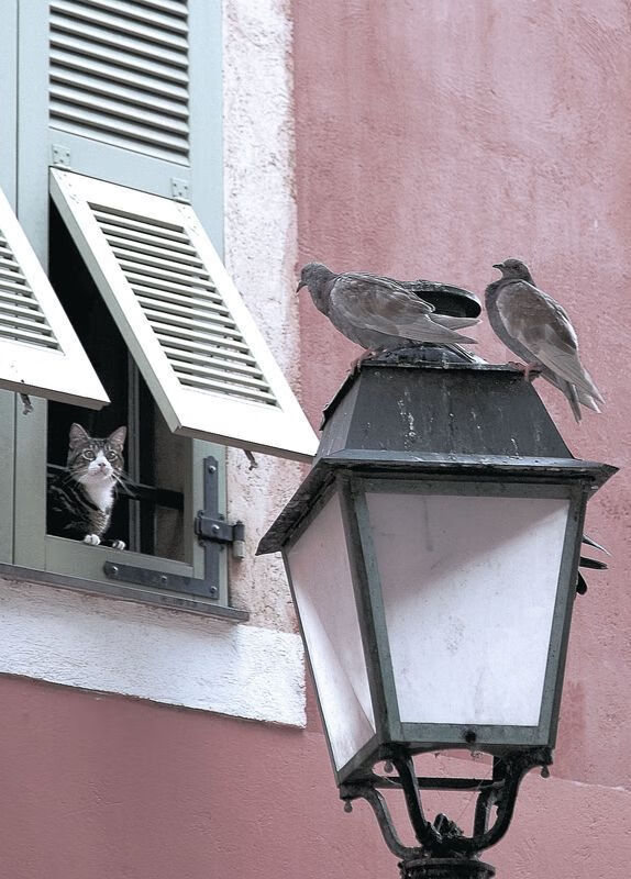 MILANSPORT入口-青少年足球教练员培训体系不断完善，提高教学水平，青少年足球培训内容