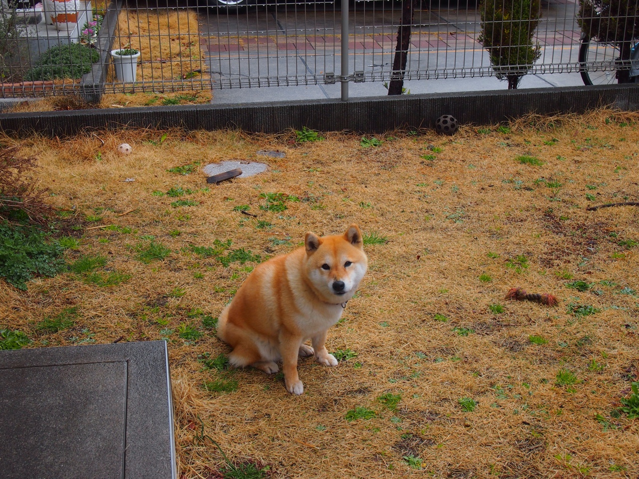 中国足球联盟与地方体育局合作模式创新,中国体育总局足球